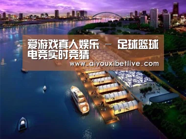 案例展示八