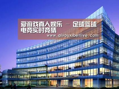 案例展示五