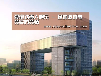 案例展示四