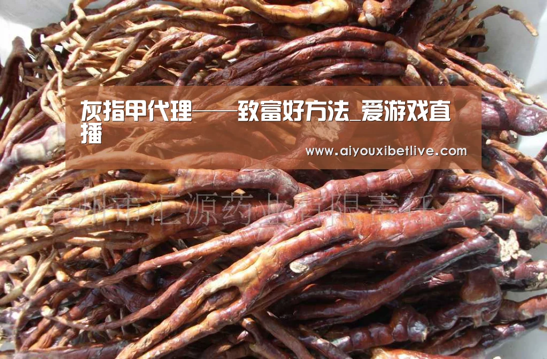 爱游戏电竞